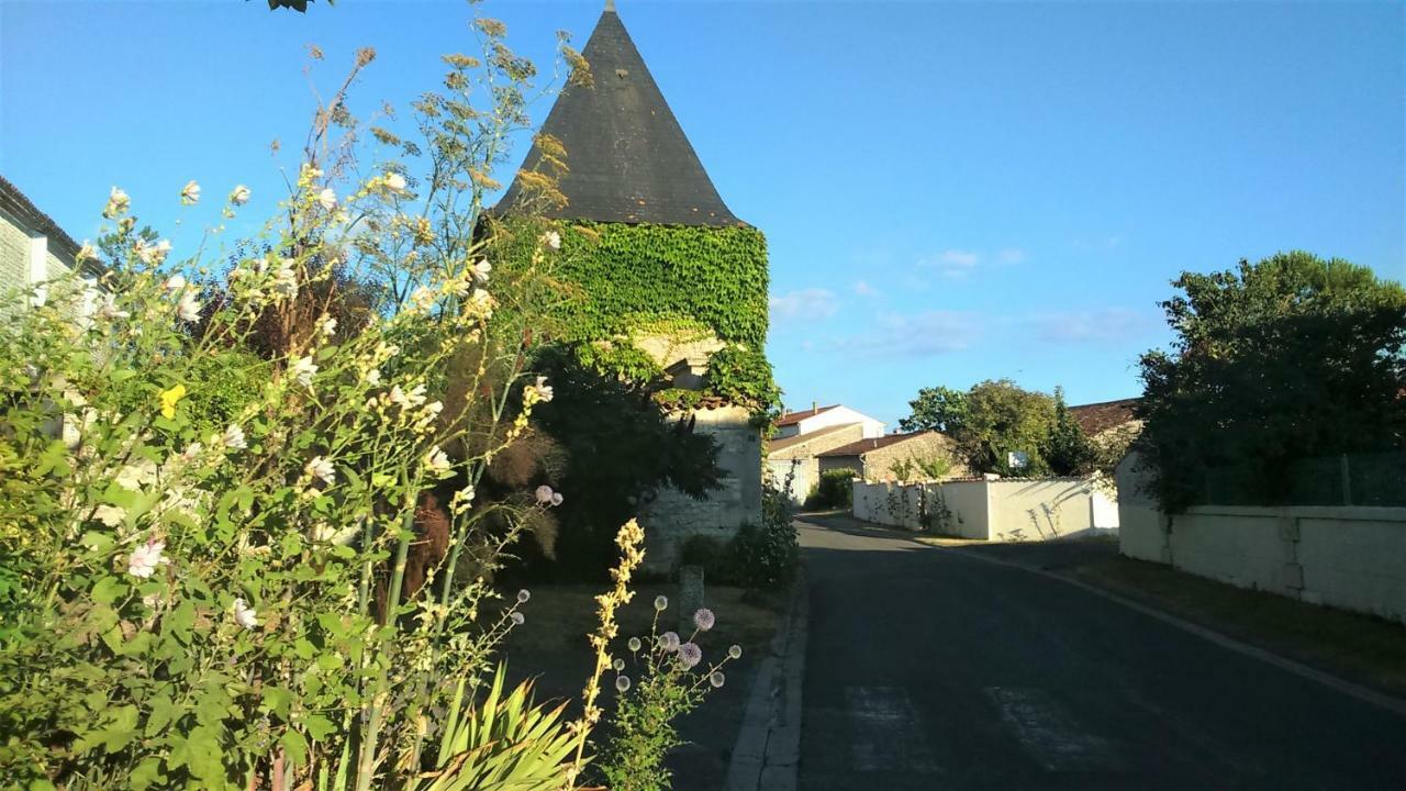 Les Gites Du Vigneron Et Cd'H Saint-Seurin-de-Palenne Eksteriør bilde