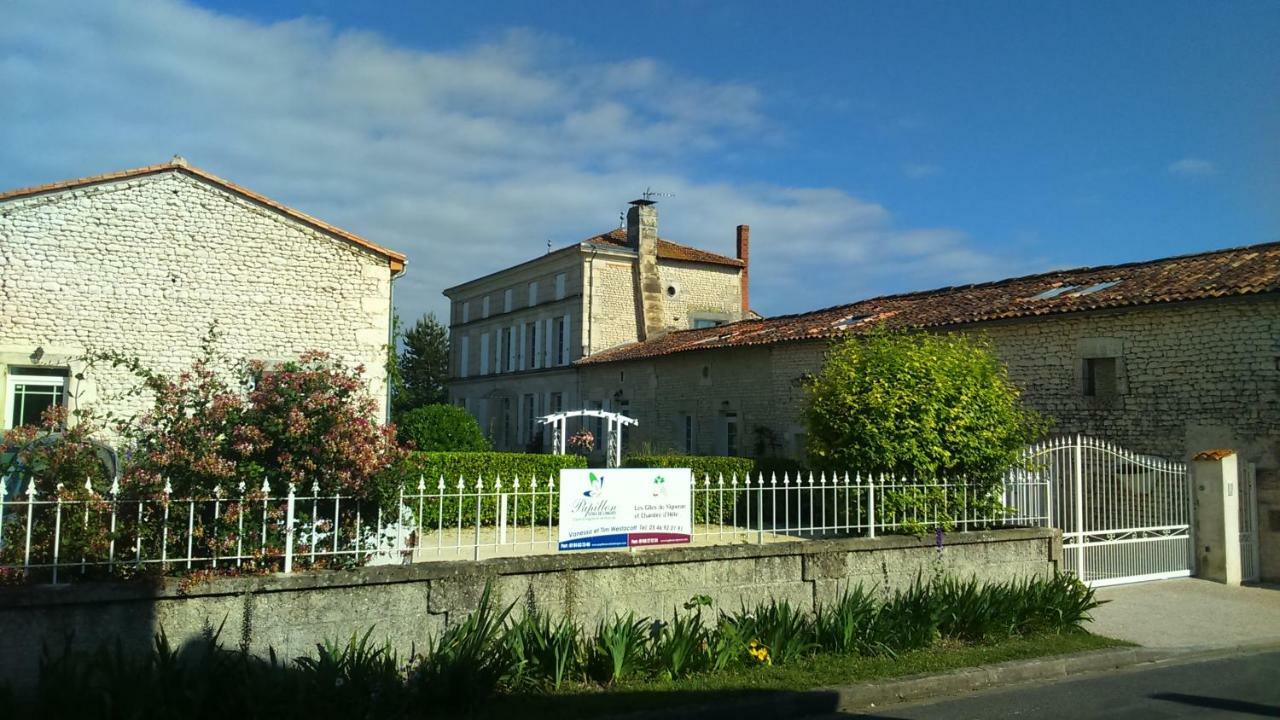 Les Gites Du Vigneron Et Cd'H Saint-Seurin-de-Palenne Eksteriør bilde